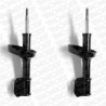 Shock absorber RENAULT Clio II, Thalia front