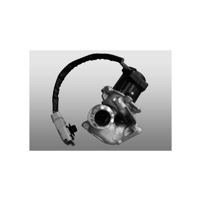 EGR ventil OPEL Astra F, Astra G, Frontera B, Signum, Vectra C, Zafira A, SAAB 9-3, 9-5 DTi, TiD