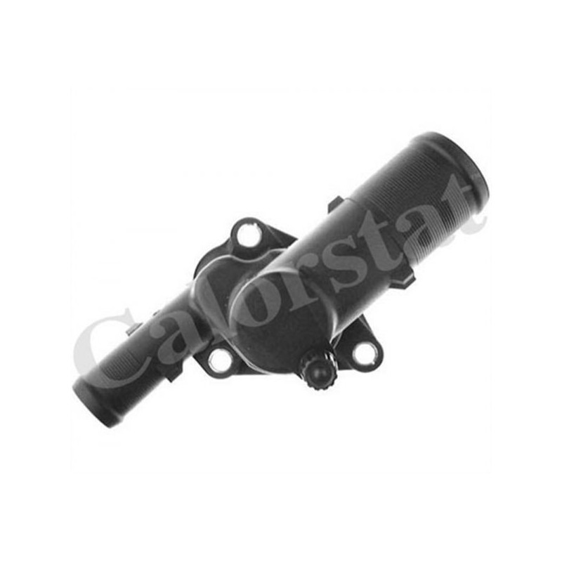 Thermostat DACIA Sandero, NISSAN, RENAULT Clio 2, Twingo 1.1, 1.2