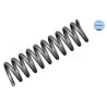 Coil spring MERCEDES 124 rear