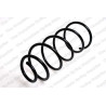 Coil Spring for Peugeot 307 and Citroën C4 | Car Parts Herkules